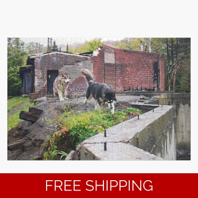 Le Studio Jigsaw Puzzle Dogs 2019